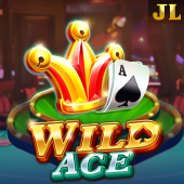 Wild Ace jili333